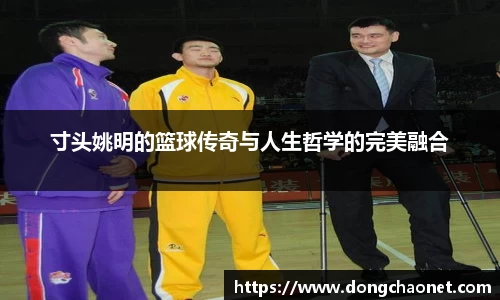 BoB半岛·体育中国官方网站