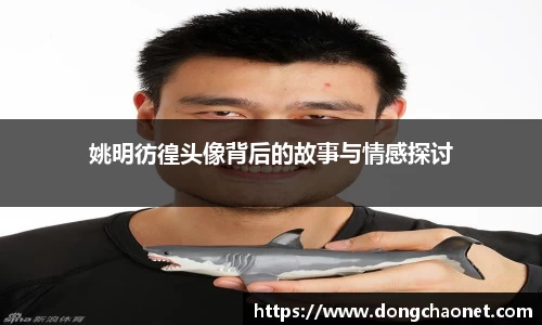 半岛bob·官方网站