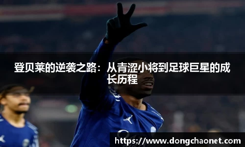 半岛bob·官方网站